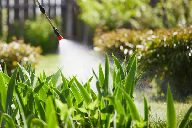 Tamper-Resistant Bait Stations for Rodents in Indian Hills