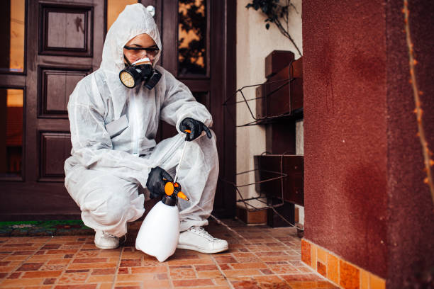 Attic and Crawl Space Rodent Treatment in Indian Hills